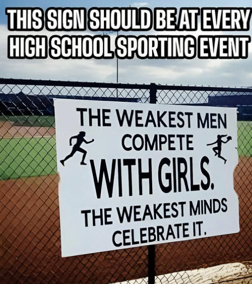 Ray_Deployable's tweet image. 