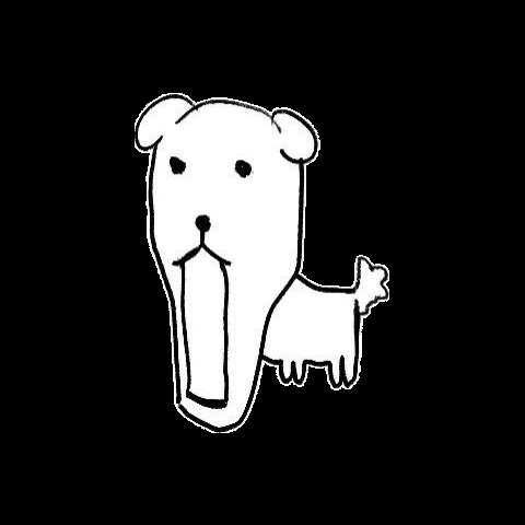 따리 (@hamstarry) on Twitter photo 