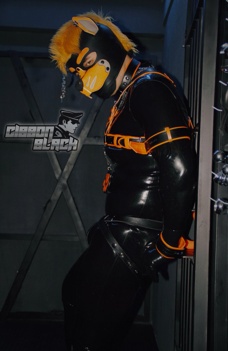 Hey there! So, you also received a detention for violating school rules, huh, rookie puppy? It's okay, it's natural to be scared the first time, but you'll get used to it. I'll protect you.

Model：<a href="/85point_studio/">85point</a>
#GibbonBlack #PuppyPark