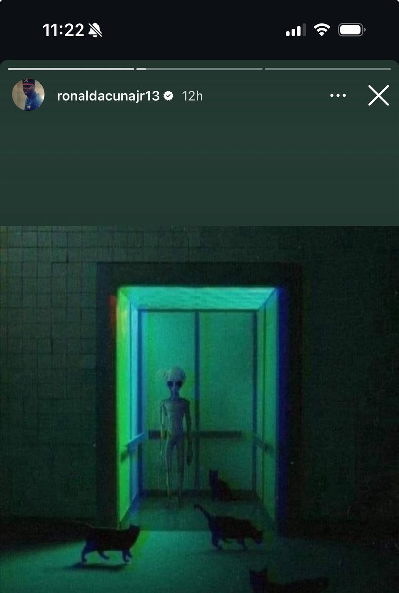 brother what does this mean