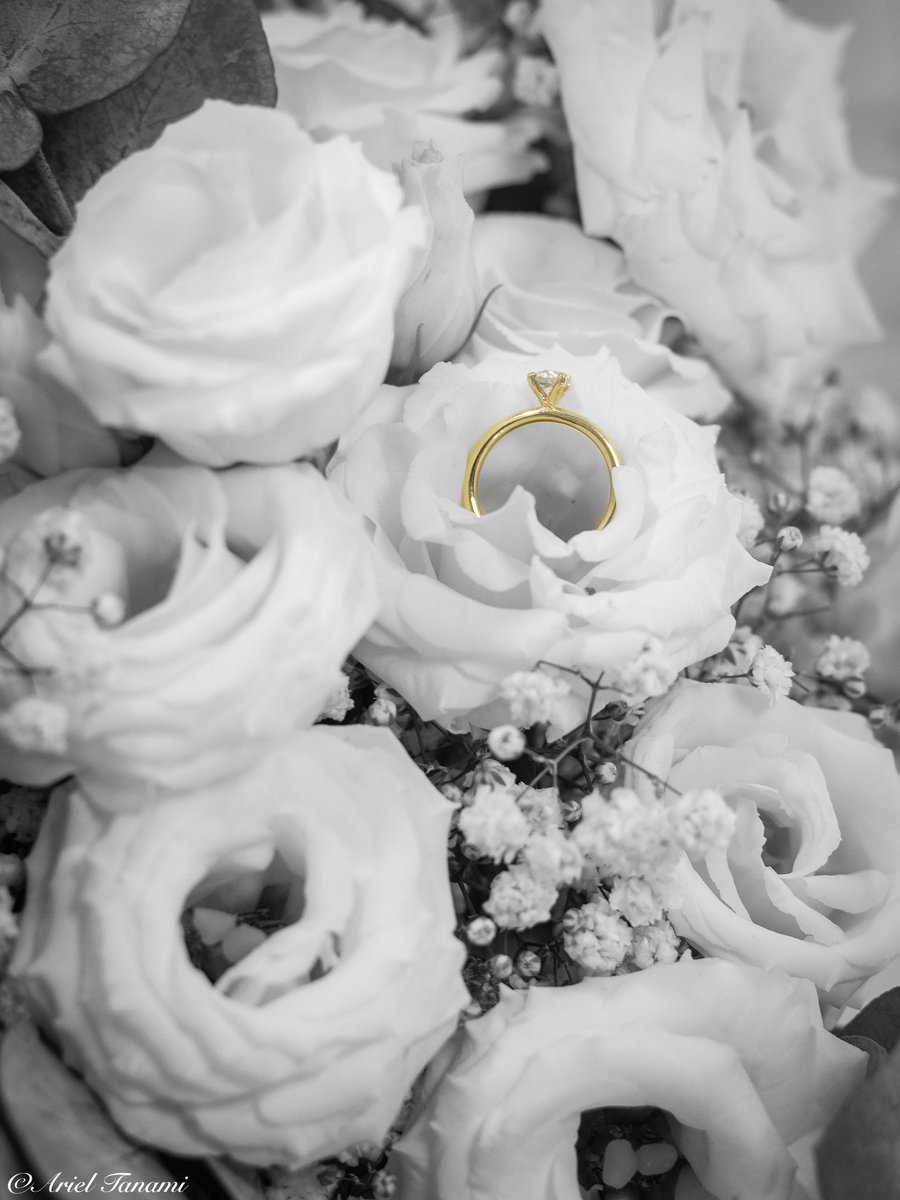 בא נעשה עסקה אני מפסיק לחשוב פוליטיקה וממשיך להעלות תמונות ואתם שולחים לי סרטוני חתולים בדיאמ או כאן. 
כמו כן התחלתי לצלם חתונות באופן רשמי כצלם ראשי מוזמנים באהבה להתקשר להתייעץ לשאול להזמין 
054-9702924