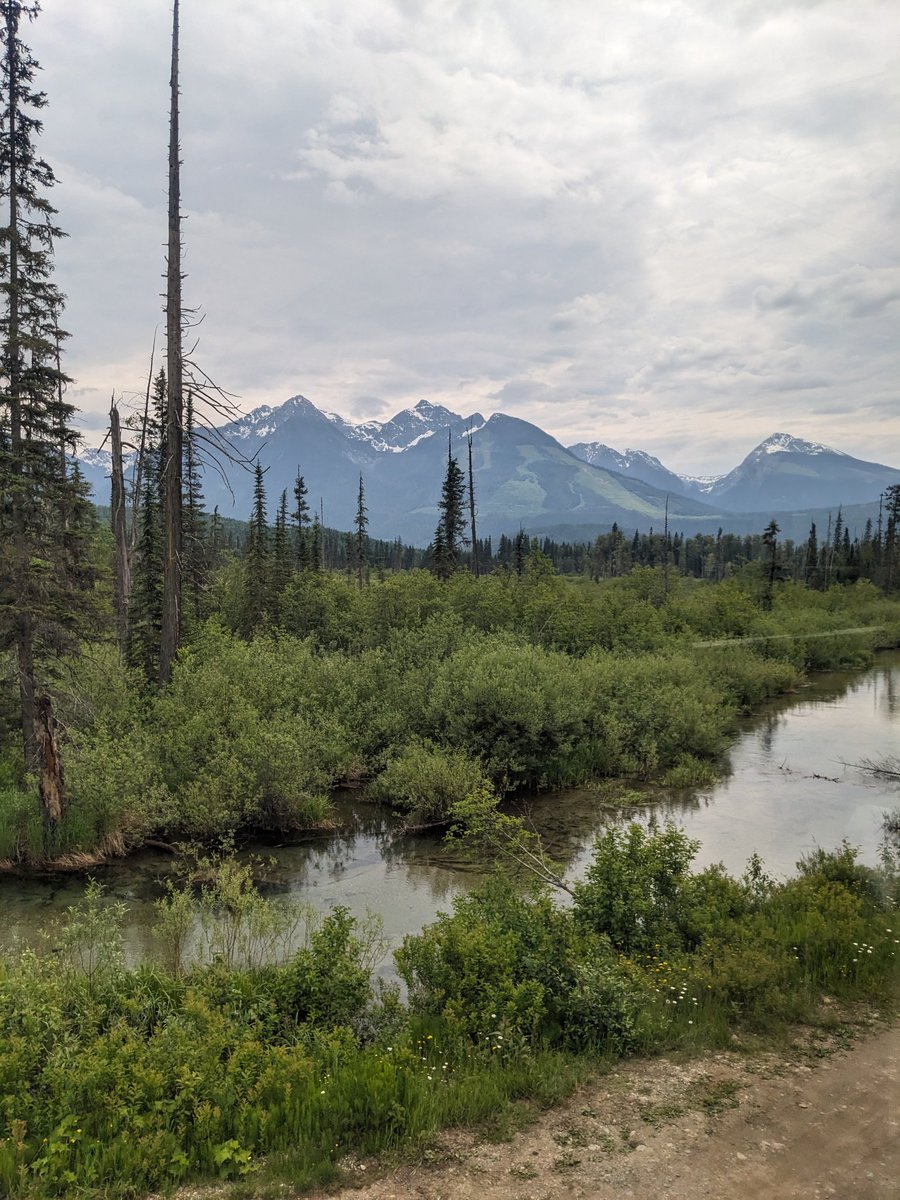 Lakes_Graham's tweet image. Loved the British Columbia scenery before heading into Alberta.