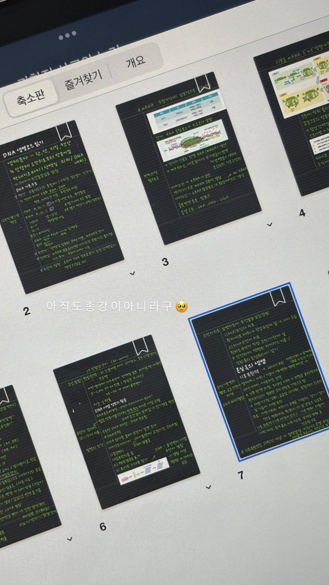 wavein9's tweet photo. 종강이 아니라 구세주가 온 것 같은 기분.. 🪽 https://t.co/jSFSrvdEsj