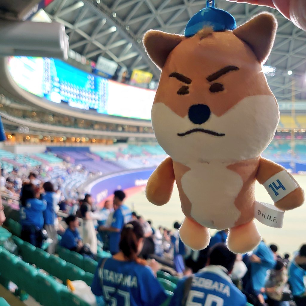 tobimaru9's tweet photo. 土曜日は弾丸でバンテリンドームに🚗
加藤5勝目🎉
清宮のホームラン&amp;9回の猛チャージ✨
終盤は…郡司確かに疲れたやろうなぁ〜💧……勝ててよかった🤣

バンテリンドームは開放感があって、どこも綺麗でスタッフさんは親切で気持ちよく観戦できました〜
#日本ハムファイターズ 
#交流戦 https://t.co/lxccWNbO5B