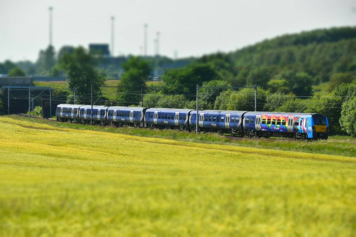 ScotRail's tweet image. 🎵 A quick run through the fields of gold, ahead of tomorrows headliner. @SmmrSessions I #Sting I #FieldsOfGold