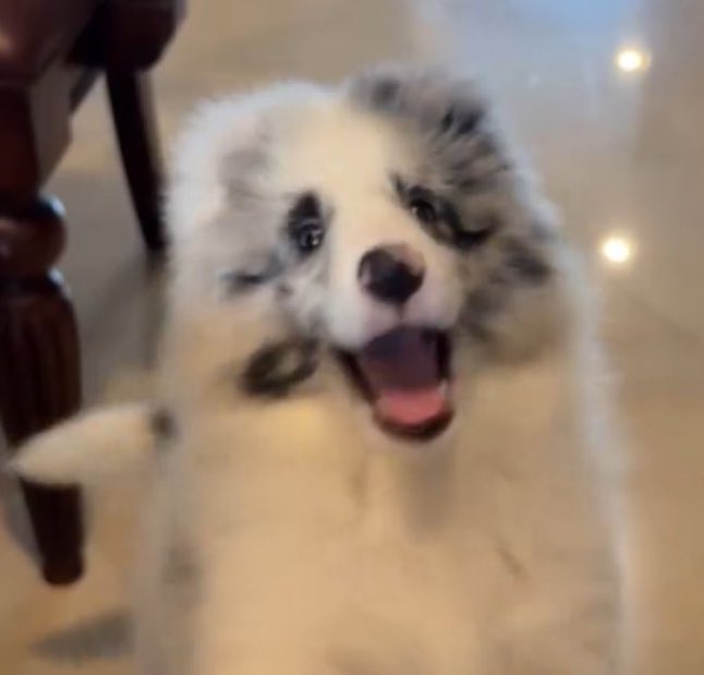 เพนสิ้น : ขอบคุณที่เกิดมานะ
คุณหนู : ม่ะเปนไย ฉะบายมั่ก

#คุณหนูเจเนท