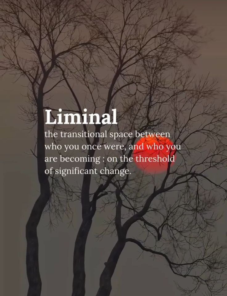 wordsporn's tweet photo. Liminal https://t.co/rE2ZcPXIQu