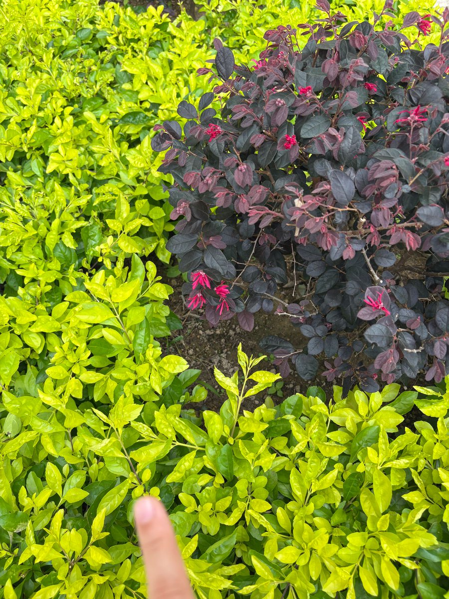 Touch the grass #openseatouchgrass #opensea
<a href="/opensea/">OpenSea</a>