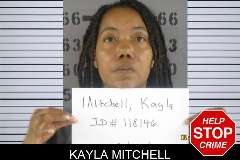 Kayla Mitchell was ARRESTED - thegeorgiagazette.news/dougherty-coun…
#Doughertycountymugshots