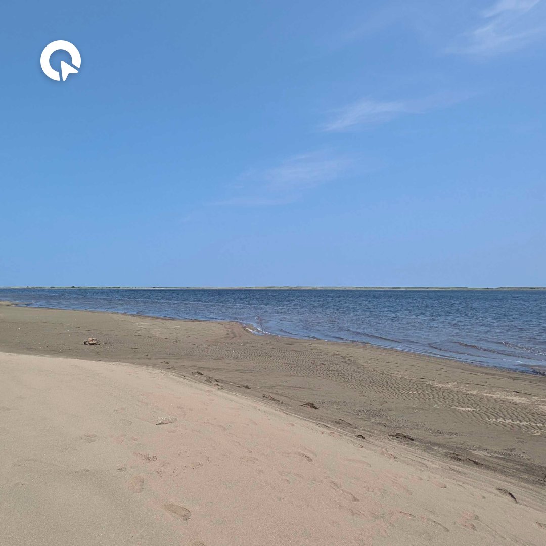 ClickOutMedia's tweet photo. Enjoy views like this while working remotely! ☀️
New Brunswick, Canada 🇨🇦
#clickoutmedia #igamingwork #workfromhome #Canada #igaming #Workanywhere #kouchibouguac https://t.co/CjdEOaF8qo