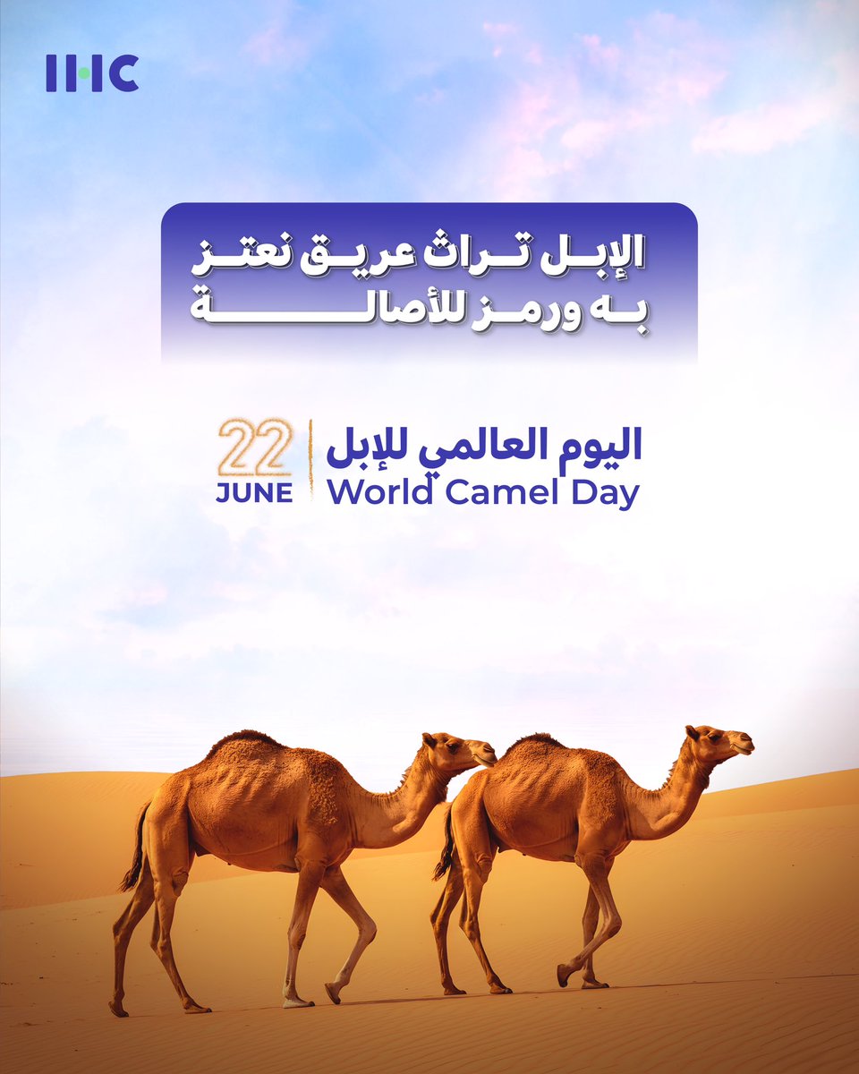 IHCKSA's tweet photo. في #اليوم_العالمي_للإبل 
نحتفي بأصالتنا وتراثنا .. موروث نفخر به وعراقة ممتده حتى حاضرنا 🐪 https://t.co/bIvQqRZGQU