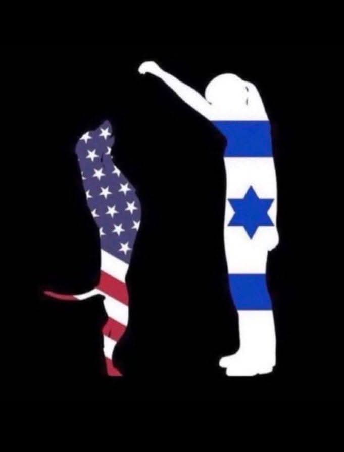 Dünyaya hükmettiği  çok akıllı biri  olduğunu zannediyorsun ya
Bu kocaman bir yalan.
Sen sadece İtrail'in bir köpeğisin Trump
Korkak Tavuk.
Kahrolsun siyonist köpekler.

#ABD  İran Tel aviv