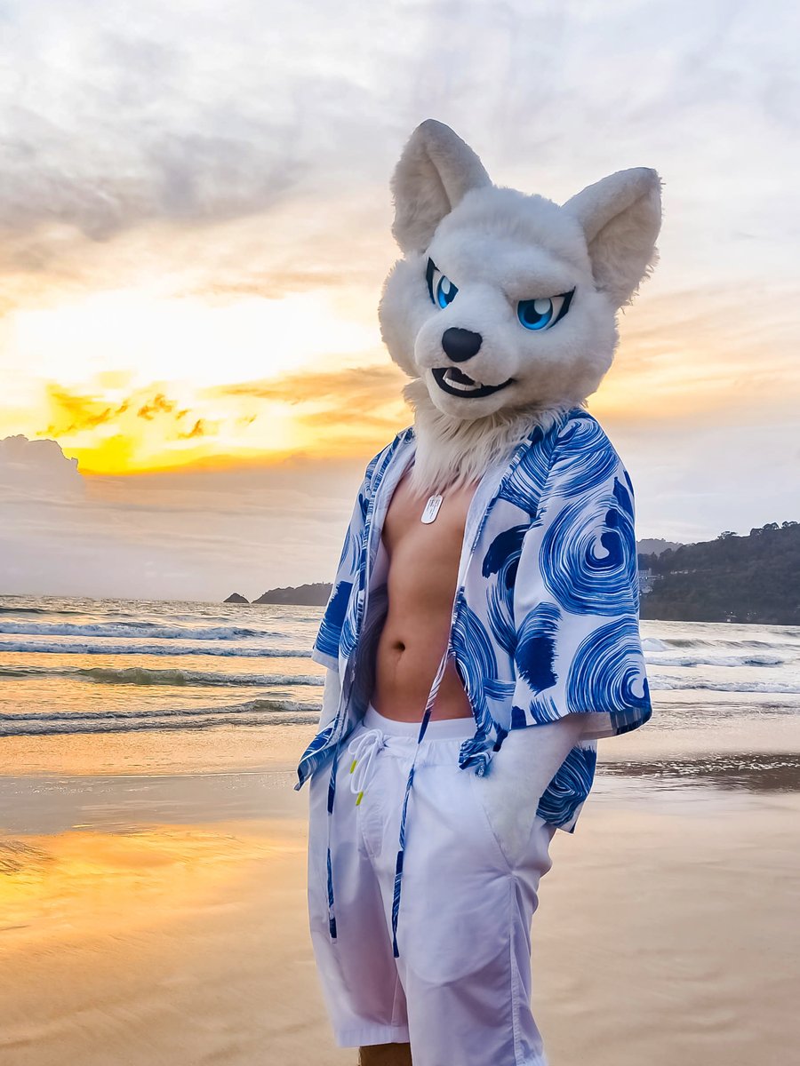 Shiro The White Wolf (@g_kid007) on Twitter photo I love you more with every wave 🌊🌊🌊
📷 <a href="/FoxaumXshot/">FoxAum Xshot</a>
#FursuitEveryday
#fursuit #fursuiter #whitewolf #หมาขาว I love you more with every wave 🌊🌊🌊
📷 <a href="/FoxaumXshot/">FoxAum Xshot</a>
#FursuitEveryday
#fursuit #fursuiter #whitewolf #หมาขาว