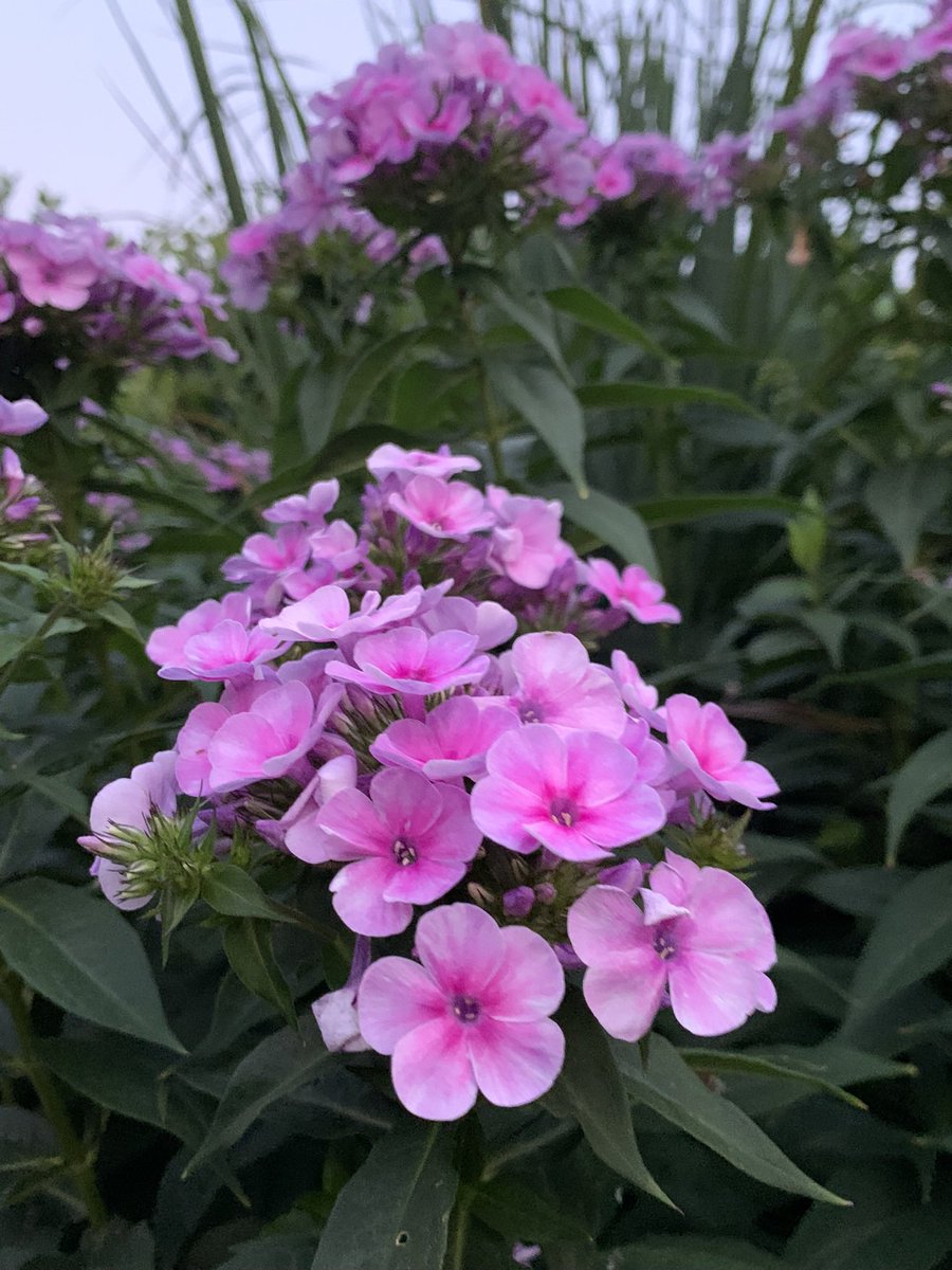 Thomas (@collabor8tor) on Twitter photo 