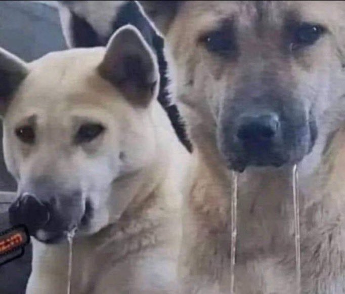 metroda slogan atarak saraçhaneye gitmek