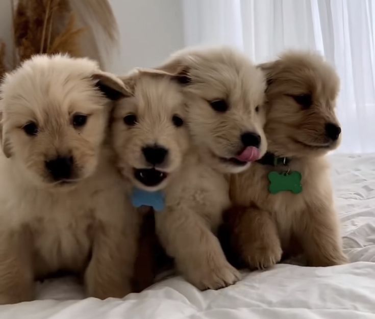 pupdon's tweet photo. https://t.co/6tRRLX2S1Z