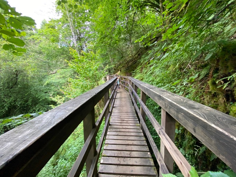 In order to deal with the state of the world I drove up to Aberfeldy so I could walk the Birks, one of my favourite places in the world. And there weren’t even too many midgies.