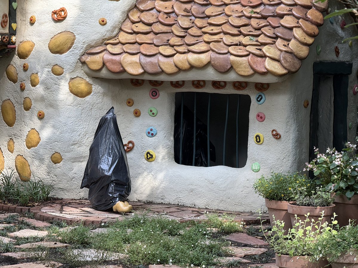 ThrillsTastic tweet media