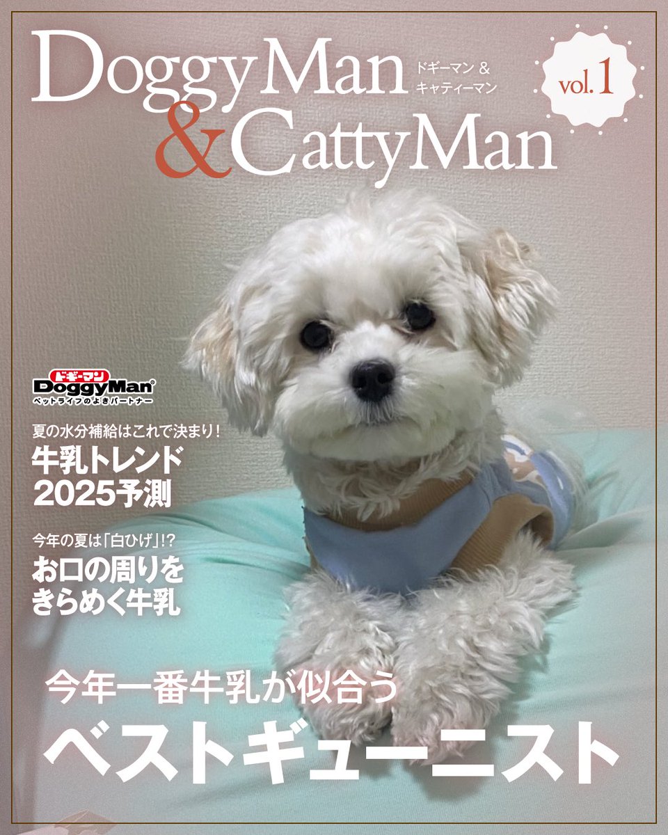 K_ngsr's tweet photo. #ペットの牛乳フォトグランプリ
 #ぽてつ
  #マルチーズ https://t.co/BKWWB6GiM9