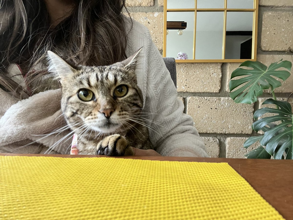 Dominguito nublado y fresco, así como le gusta a Khaleessi