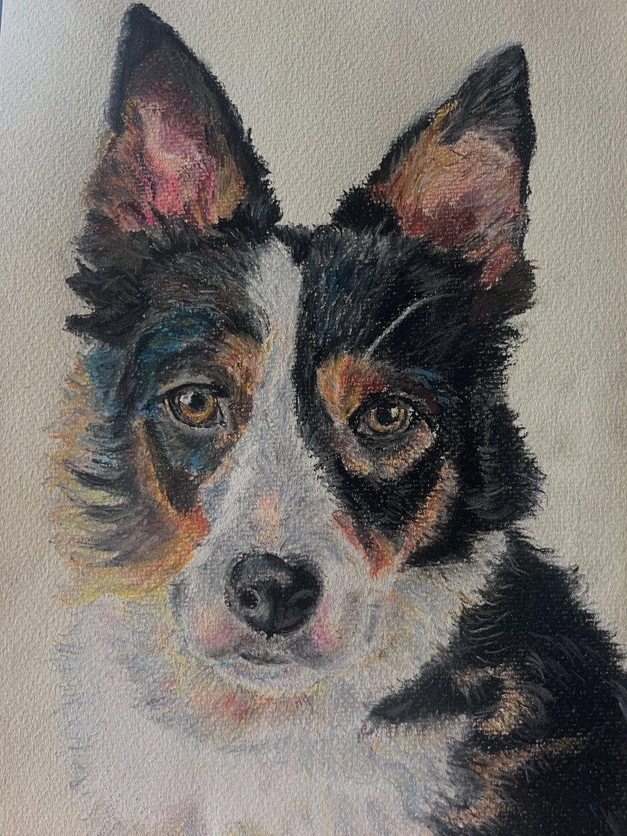CarneyBernie's tweet image. A portrait of Miss Sadhbh in soft pastels. A new medium for me. Will have to get a bit tidier 🙈😂!