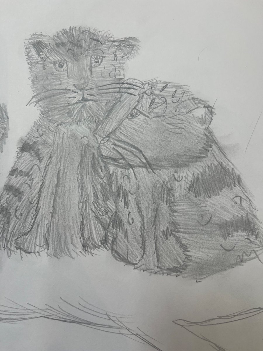 Today’s lesson concentrated on improving our young artists with their drawing techniques. We took tigers and leopards as inspiration, responding to the piercing glance of a leopard or nurturing expressions of a mother tiger with her cub. 🐯