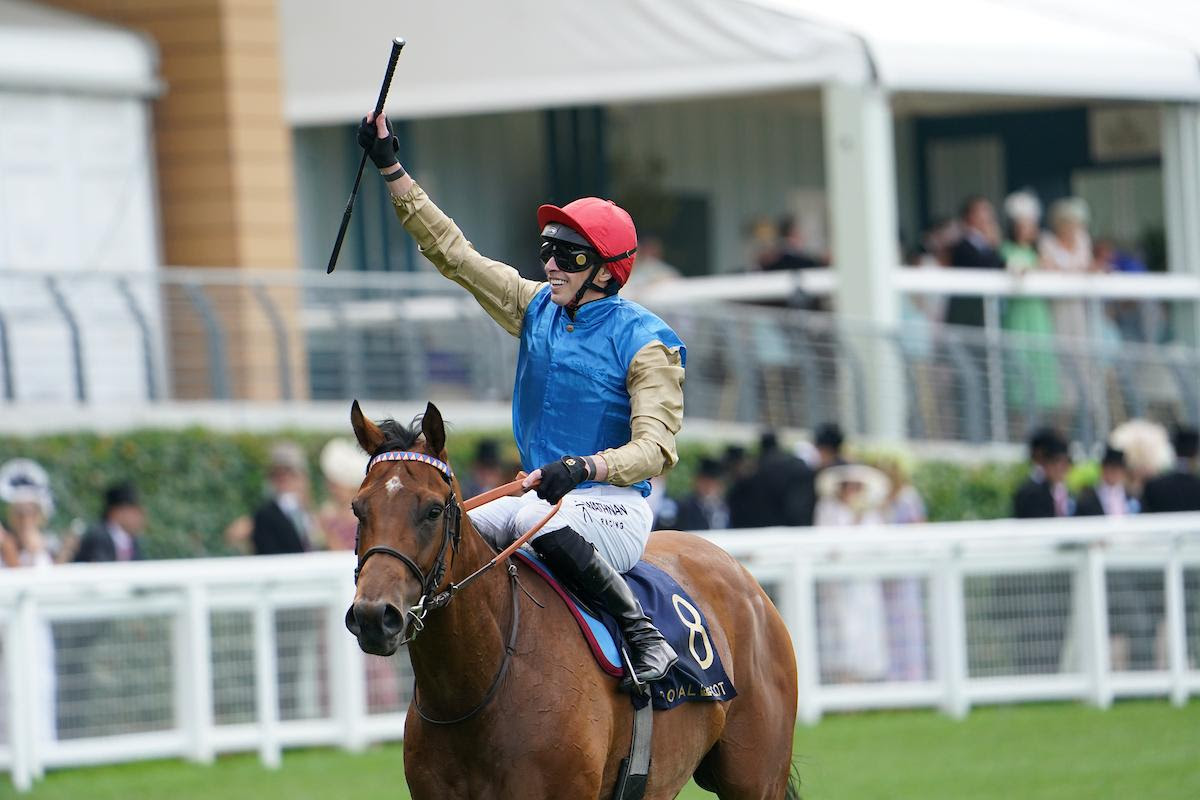 SecretariatsWorld (@secretariatswld) on Twitter photo 🇫🇷 HISTORIC ROYAL ASCOT TRIUMPH!
<a href="/EcurieReynier/">Ecurie J.Reynier</a> becomes first French trainer to win at Royal Ascot since WWII as Lazzat claims £1million Jubilee Stakes glory! Read the full story of redemption and racing history 👇
tenfurlongsmagazine.com/international-…
#RoyalAscot #Racing #History 🇫🇷 HISTORIC ROYAL ASCOT TRIUMPH!
<a href="/EcurieReynier/">Ecurie J.Reynier</a> becomes first French trainer to win at Royal Ascot since WWII as Lazzat claims £1million Jubilee Stakes glory! Read the full story of redemption and racing history 👇
tenfurlongsmagazine.com/international-…
#RoyalAscot #Racing #History