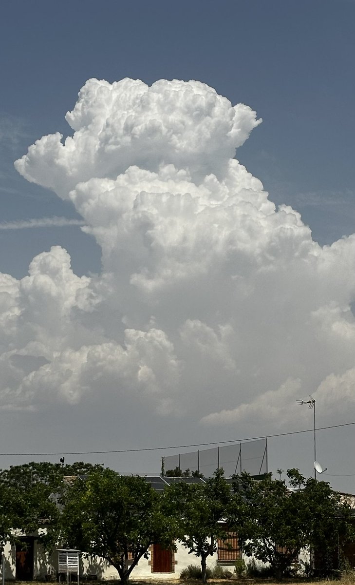Xavier Coll (@xcollgi) on Twitter photo Tarda de Cb. Tmàx 39°C #ivarsdurgell #pladurgell <a href="/meteocat/">Meteocat</a> <a href="/MeteoMauri/">MeteoMauri</a> <a href="/elnacionalcat/">ElNacional.cat</a> <a href="/SergiLoras/">Sergi Loras</a> <a href="/gemmapuigf/">Gemma Puig Feliu</a> <a href="/SoniaPapell/">Sònia Papell</a> <a href="/AEMET_Cat/">AEMET_Cataluña</a> <a href="/climadelleida/">Climadelleida/meteoponent</a> <a href="/meteorac1/">Meteorologia RAC1</a> Tarda de Cb. Tmàx 39°C #ivarsdurgell #pladurgell <a href="/meteocat/">Meteocat</a> <a href="/MeteoMauri/">MeteoMauri</a> <a href="/elnacionalcat/">ElNacional.cat</a> <a href="/SergiLoras/">Sergi Loras</a> <a href="/gemmapuigf/">Gemma Puig Feliu</a> <a href="/SoniaPapell/">Sònia Papell</a> <a href="/AEMET_Cat/">AEMET_Cataluña</a> <a href="/climadelleida/">Climadelleida/meteoponent</a> <a href="/meteorac1/">Meteorologia RAC1</a>