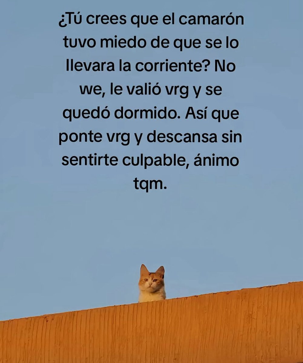 conoloracigarro's tweet image. 