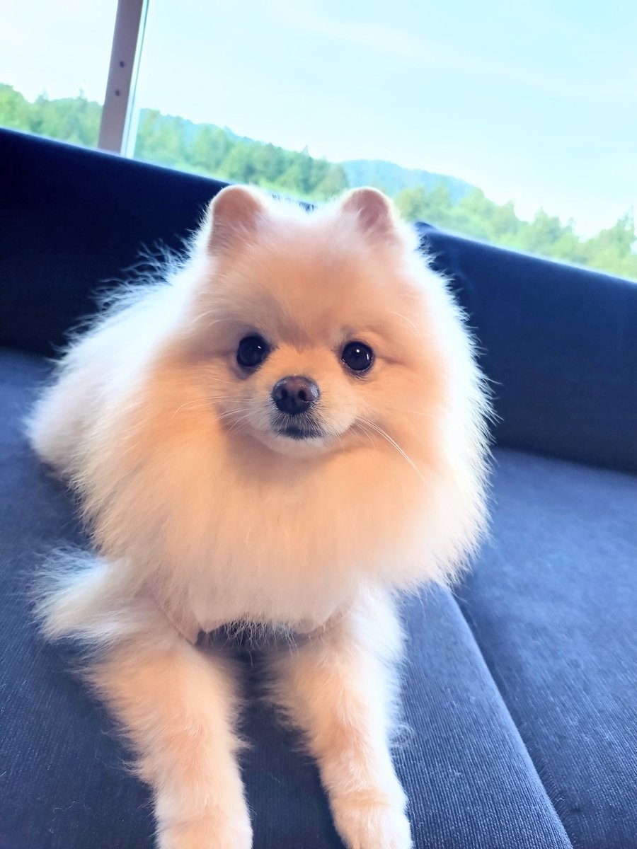 星野リゾート【界】秋保にお泊り✨