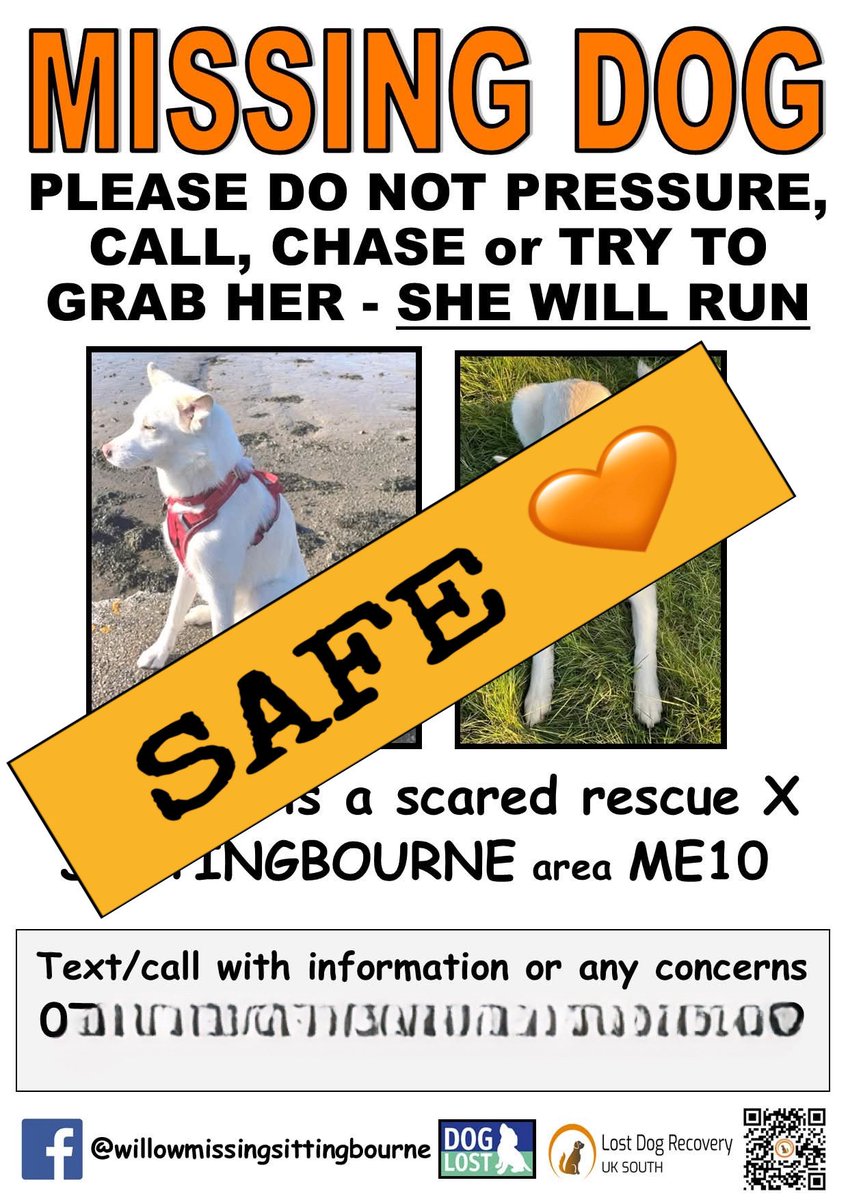 Lost Dog Recovery UK South tweet media