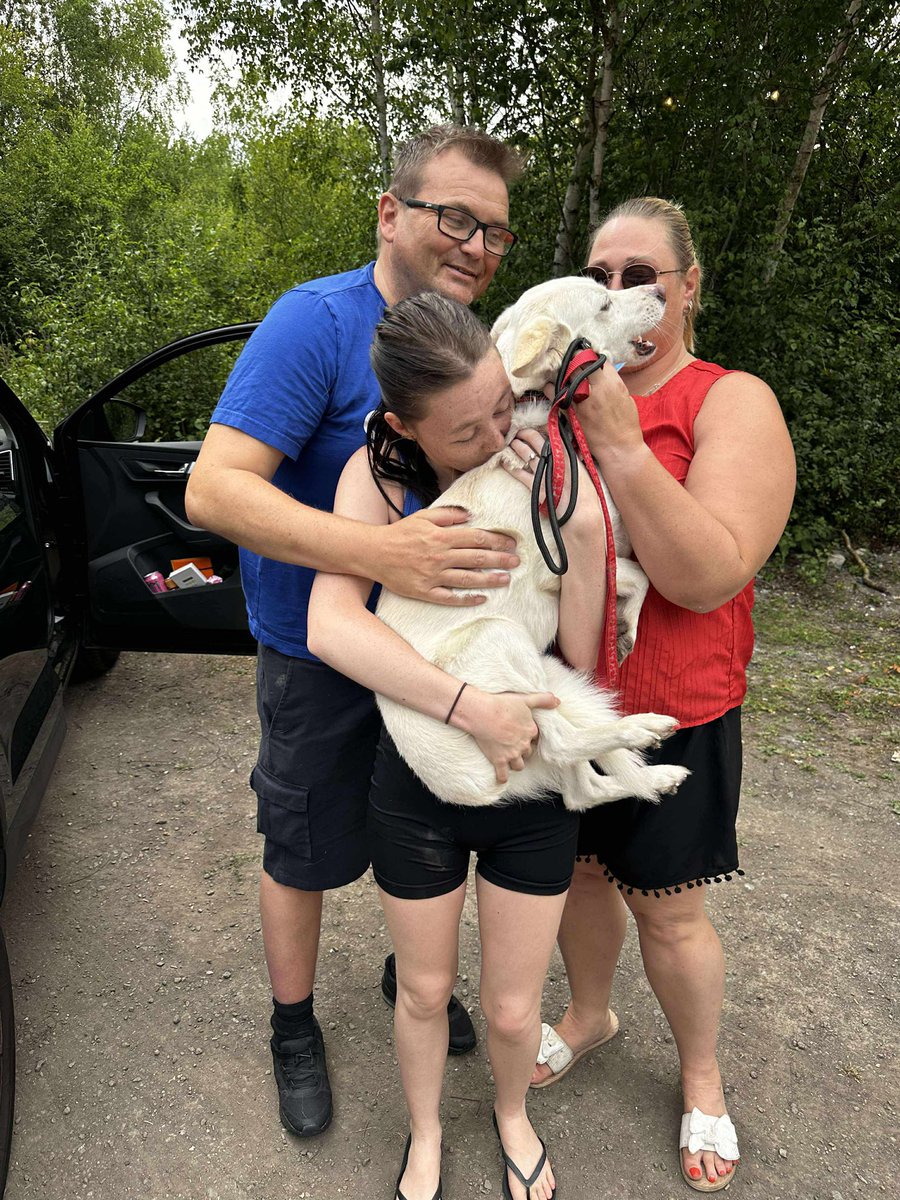 Lost Dog Recovery UK South tweet media