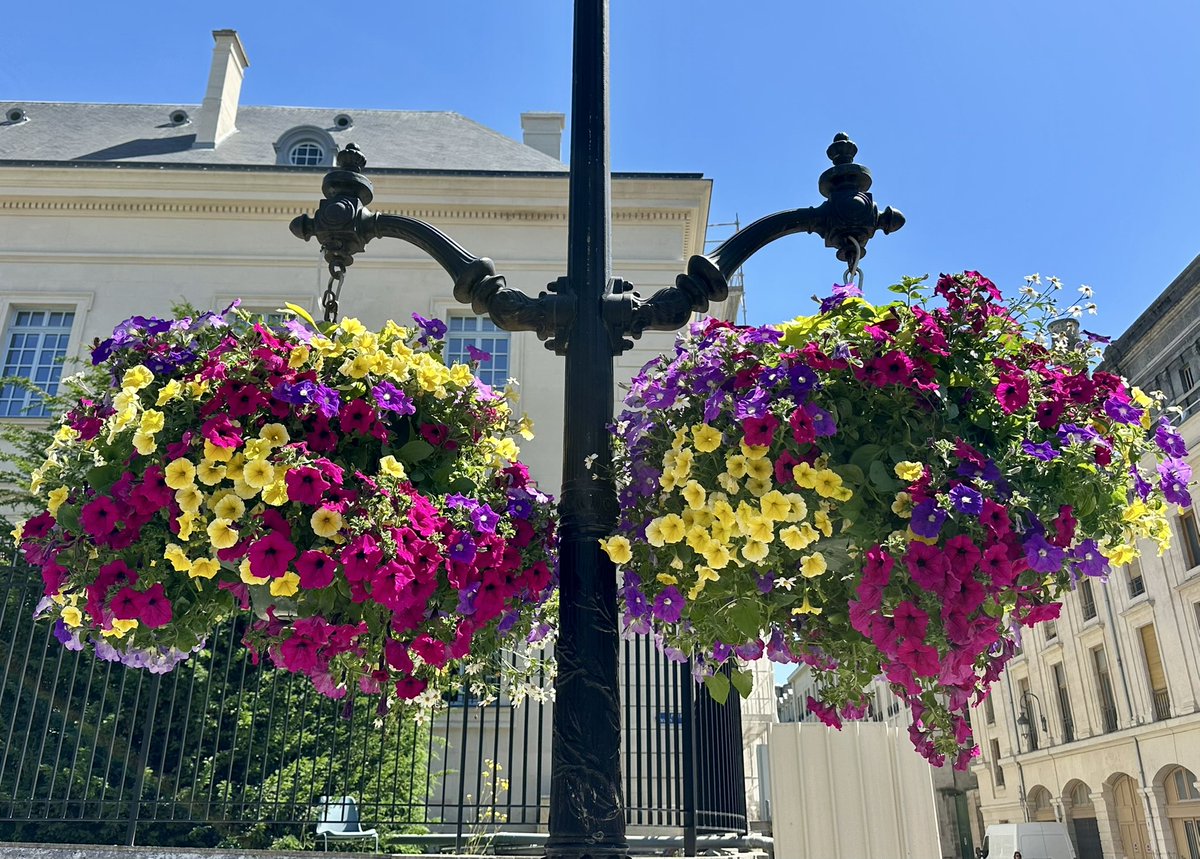 🌸🌼🌺 REIMS &amp; FLEURS 🌺🌼🌸
De jolies jardinières fleuries suspendues dans le centre-ville en ce début d’été rémois.
#Reims #Nature #Fleur #Été