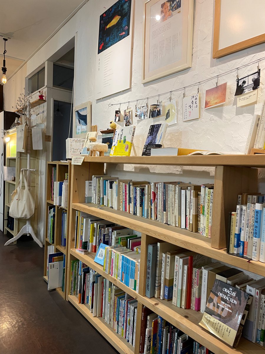 ★本日は通常営業です★

昨日の「季節の俊　夏」も、三者三様の作品選びから、ご来場の皆さまのお話などもあり、春に続き深まる時間となりました。ありがとうございました。

今月は通常営業が続きます。のんびりくつろいでくださいね☺️

#俊カフェ
#谷川俊太郎
#ブックカフェ
#札幌