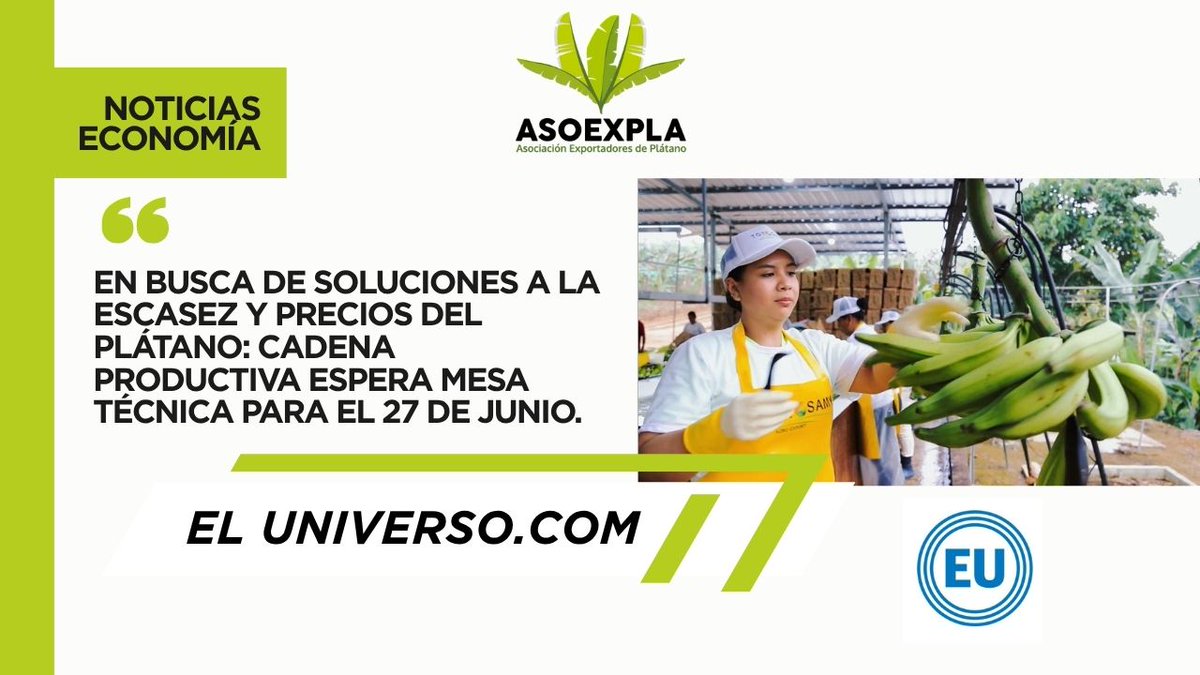 asoexpla's tweet image. Nuestro Director Ejecutivo, Eduardo Manrique, en entrevista con @eluniversocom, abordó la escasez de plátano, alza de precios y la necesidad urgente de una mesa técnica nacional.

📰 Lee la nota completa:
🔗 eluniverso.com/noticias/econo…

#Asoexpla #PlátanoEcuatoriano  #Competitivid