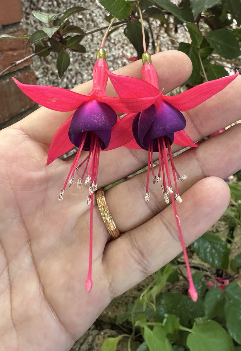 abdul 🌌📷 tweet media