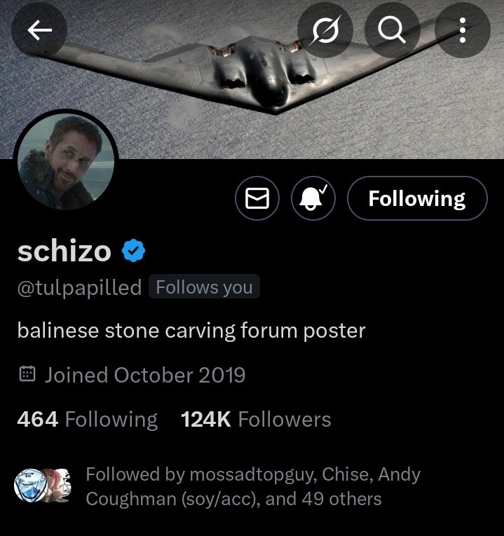 What happened to <a href="/tulpapilled/">schizo</a>? He hasn't tweeted since April.