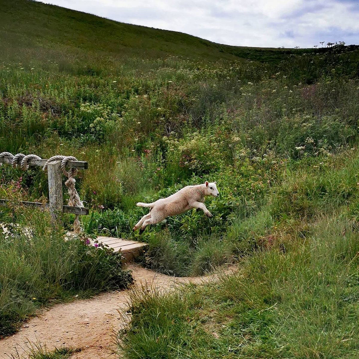 Polyjoke Cornwall
<a href="/ITVCharlieP/">Charlie Powell</a> <a href="/itvwestcountry/">ITV News West Country</a> <a href="/itvweather/">ITV Weather</a> <a href="/SpotlightUK/">Spotlight</a> <a href="/BBCSouthWeather/">BBCSouthWeather</a> <a href="/Kernow_outdoors/">Great Cornish Outdoors</a> <a href="/SunsetSnaps/">Sunset Snaps</a> <a href="/ChrisPage90/">Chris Page - Weatherman</a> <a href="/BBCCornwall/">BBC Cornwall</a> <a href="/CornwallLifeMag/">Cornwall Life</a> <a href="/ILoveCornwallUK/">Visit Cornwall</a> <a href="/BBCCountryfile/">BBC Countryfile</a>