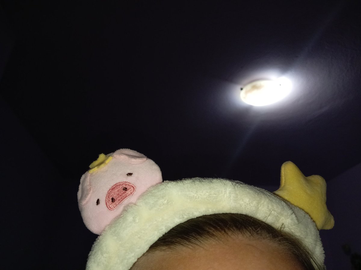 Imam novo prase 🩷