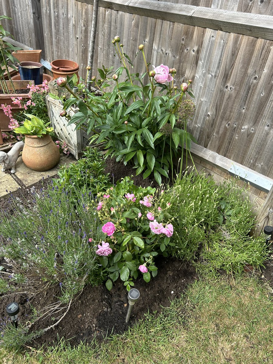 Louise Savine RN MSc (@savinelouise) on Twitter photo #NHS1000miles week2️⃣5️⃣ in 2025 and ytd I’ve walked 873.2 miles #gettingthere <a href="/MarcelleTauber/">Marcelle Tauber-Gilmore, RGN, BSc, MSc 💙💛</a> <a href="/Marie_Batey/">Marie Batey🌿🤍🌼</a> <a href="/kent_cowley/">Sarah Cowley</a> #NHS1000miles week2️⃣5️⃣ in 2025 and ytd I’ve walked 873.2 miles #gettingthere <a href="/MarcelleTauber/">Marcelle Tauber-Gilmore, RGN, BSc, MSc 💙💛</a> <a href="/Marie_Batey/">Marie Batey🌿🤍🌼</a> <a href="/kent_cowley/">Sarah Cowley</a>