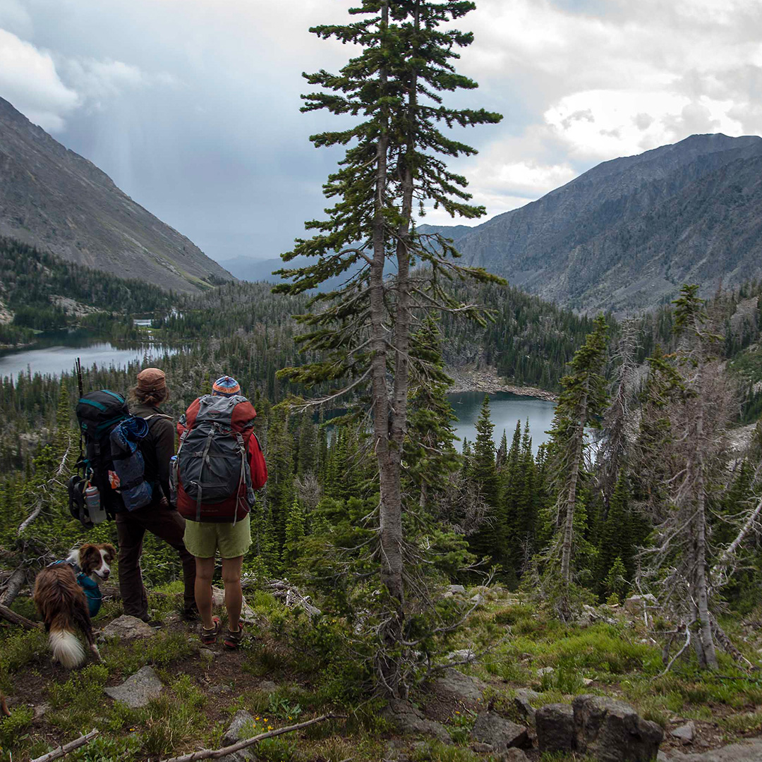 DYK? If you're new to backpacking, Montana's Yellowstone Country has several guides ready to show you the ropes! Learn more at visityellowstonecountry.com/hiking-and-bac… 
📷 | Garret Smith