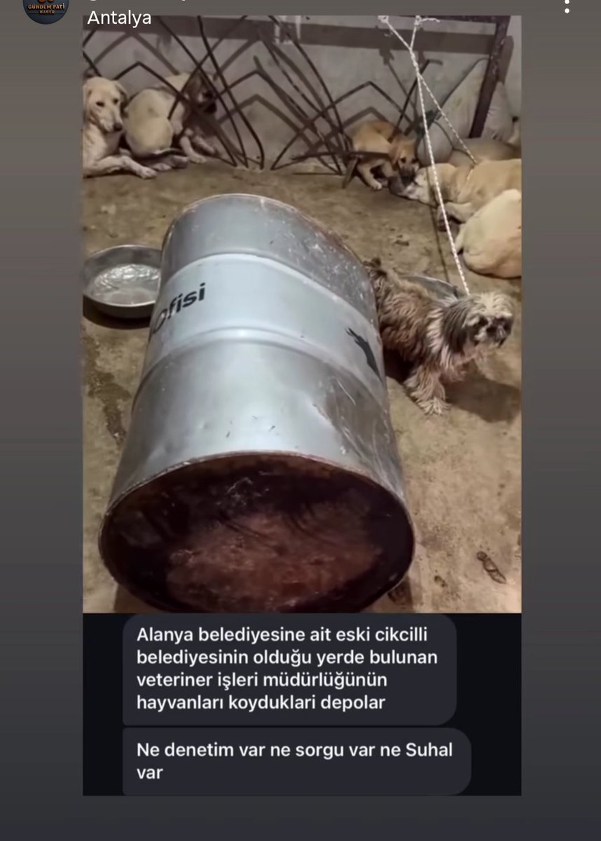 Gamze (@hasardam) on Twitter photo 📢 Yer: Antalya_Alanya
Alanya belediyesine ait eski Cikcilli Belediyesi'nin olduğu yerde bulunan ,veteriner işleri müdürlüğünün el kadar köpekleri koydukları gizli depolar .Hayvanlar hapsedilmiş ‼️
Ölümü bekleyen zavallı hayvanlar !‼️
<a href="/ANTALYABB/">ANTALYA BÜYÜKŞEHİR</a> <a href="/AntalyaValilik/">T.C. Antalya Valiliği</a>
<a href="/antalyadkmp/">Antalya DKMP</a> 📢 Yer: Antalya_Alanya
Alanya belediyesine ait eski Cikcilli Belediyesi'nin olduğu yerde bulunan ,veteriner işleri müdürlüğünün el kadar köpekleri koydukları gizli depolar .Hayvanlar hapsedilmiş ‼️
Ölümü bekleyen zavallı hayvanlar !‼️
<a href="/ANTALYABB/">ANTALYA BÜYÜKŞEHİR</a> <a href="/AntalyaValilik/">T.C. Antalya Valiliği</a>
<a href="/antalyadkmp/">Antalya DKMP</a>