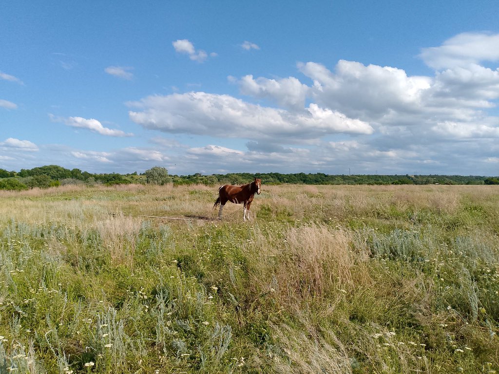 Touching grass 

 #openseatouchgrass