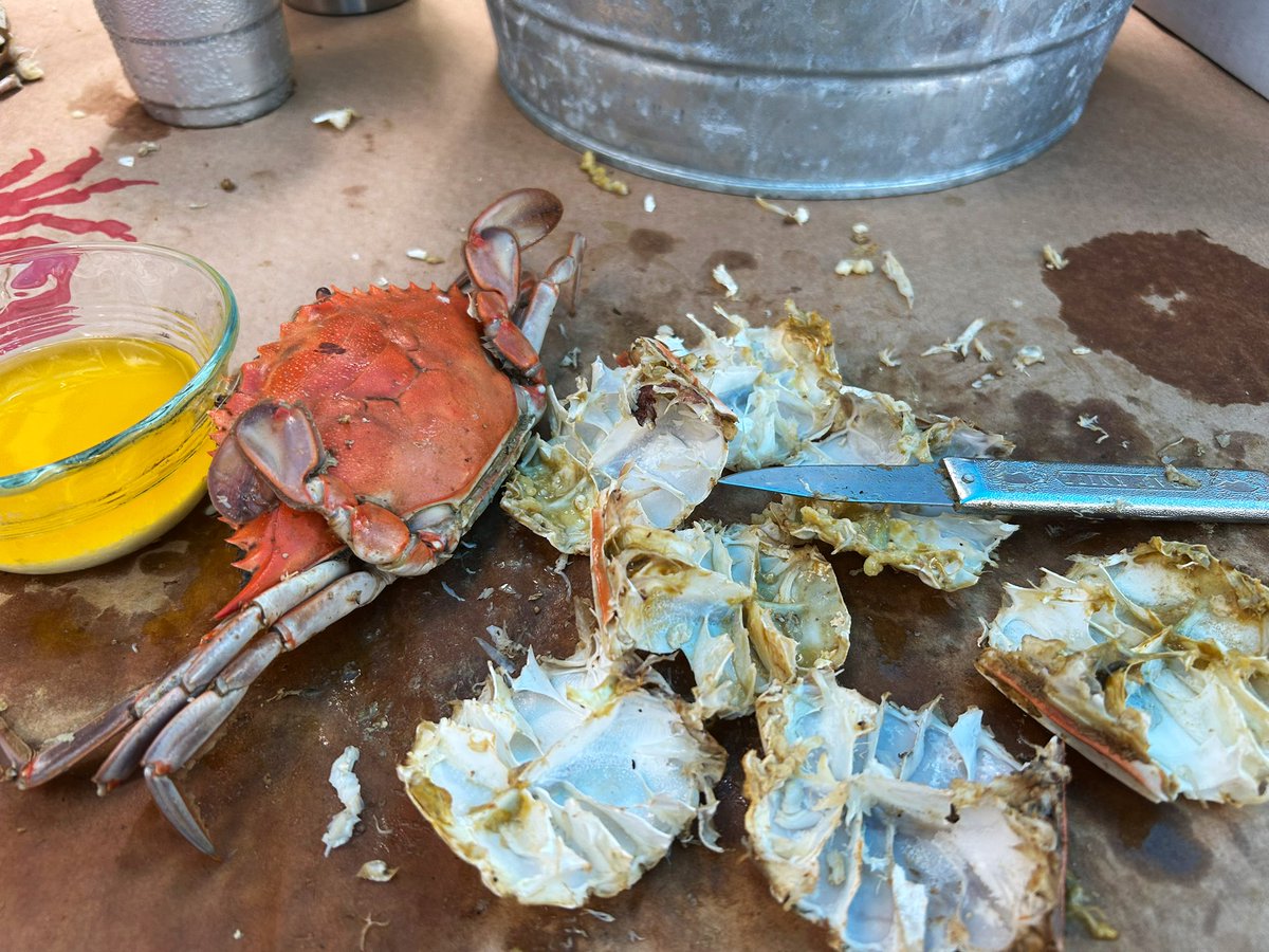 pickingcrabs's tweet image. Perfect Sunday afternoon.