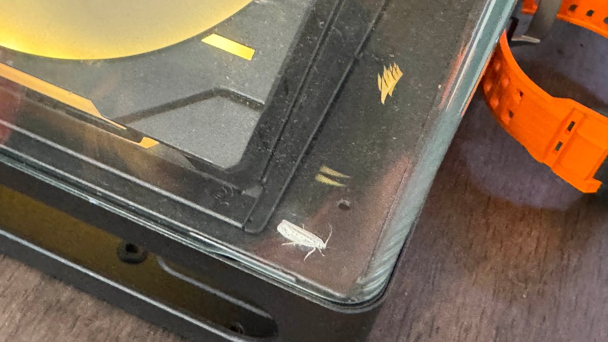 NOW I HAVE A MOTH IN MY PC, THIS IS WAR...