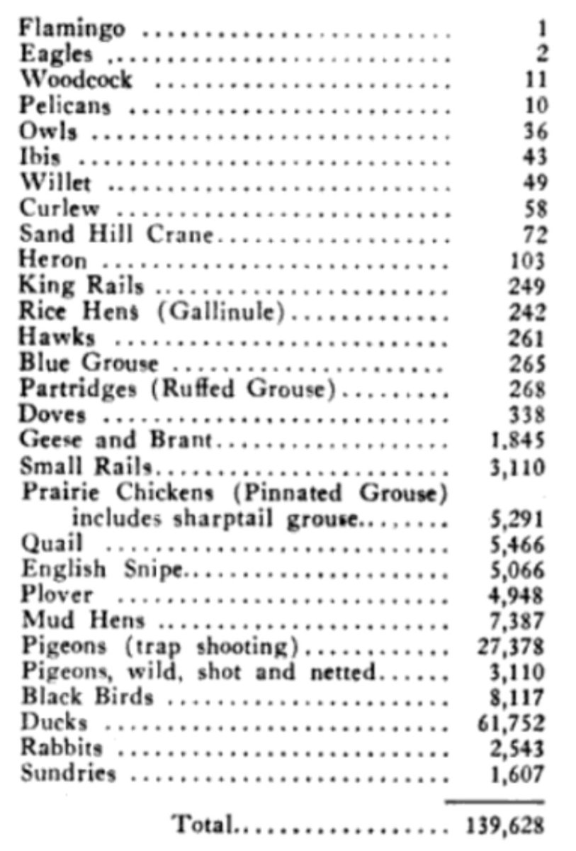 Edward Martin kept meticulous track of all the birds he killed from 1868-1908 to sell at market and these were his totals. It's hard to imagine how filled with wildlife the country used to be, and insane to reduce the little habitat they have left.