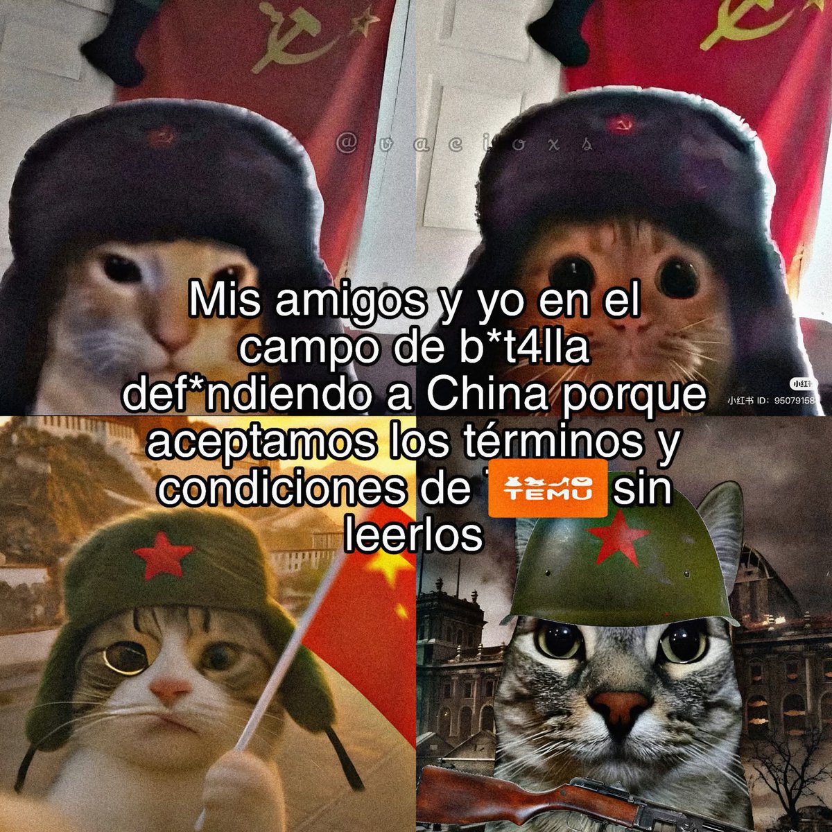 <a href="/eldiariodedross/">DROSS</a>