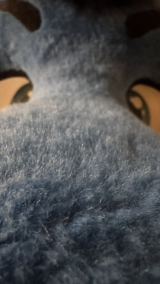 🐲 FluffyCyritz tweet media
