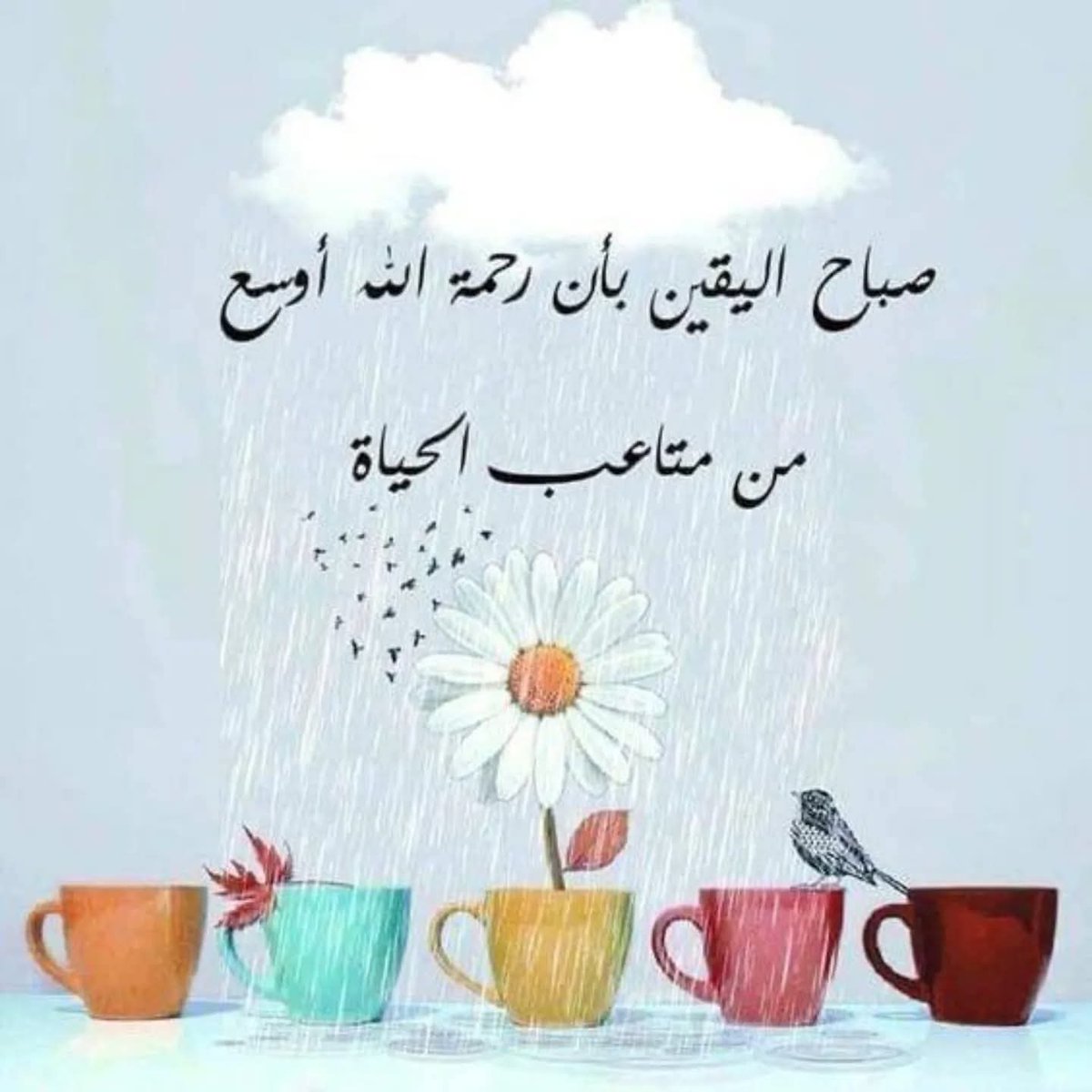 صباح اليقين بأن رحمة الله أوسع من كل متاعب الحياة..
#صباح_الخير🌷🌿