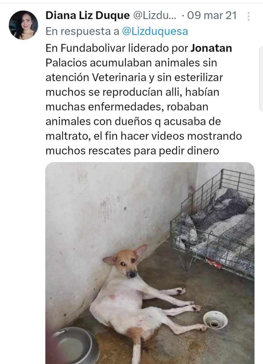 BendecidaporD14's tweet photo. "Jonatan Palacios:  
🚫 Alimentaba perros con DESPERDICIOS  
🚫 Golpeaba animales 'rescatados'  
🚫 Dejaba morir sin atención veterinaria  
Su fundación era un CENTRO DE MALTRATO #SeBuscaJonatanPalacios" https://t.co/ID9QbE2OsX